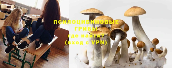 PSILOCYBIN Верхнеуральск